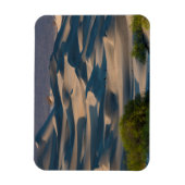 カリフォルニアの砂丘の風景 マグネット (縦)