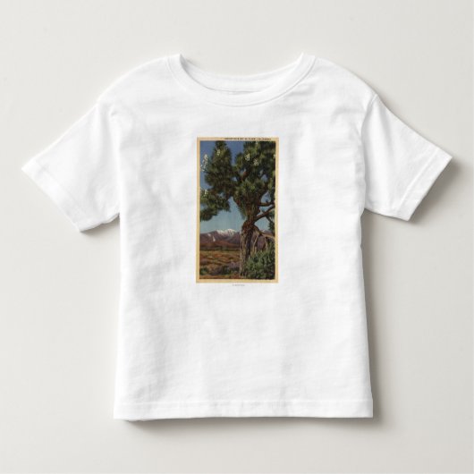 カリフォルニアの砂漠の開花のジョシュアのやし トドラーTシャツ (正面)