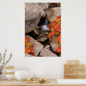 カリフォルニアの秋の小さなクリーク ポスター (キッチン)