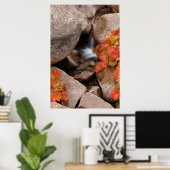 カリフォルニアの秋の小さなクリーク ポスター (ホームオフィス)