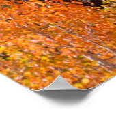 カリフォルニアの紅葉に囲まれた山 ポスター (角)