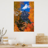 カリフォルニアの紅葉に囲まれた山 ポスター (キッチン)