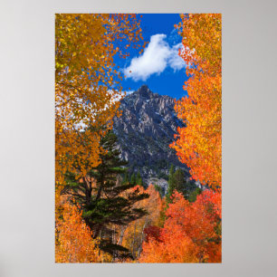 カリフォルニアの紅葉に囲まれた山 ポスター