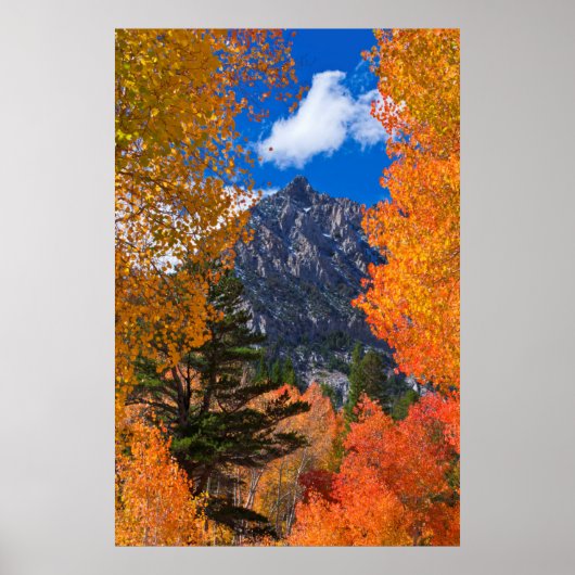 カリフォルニアの紅葉に囲まれた山 ポスター (正面)