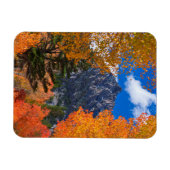カリフォルニアの紅葉に囲まれた山 マグネット (横)