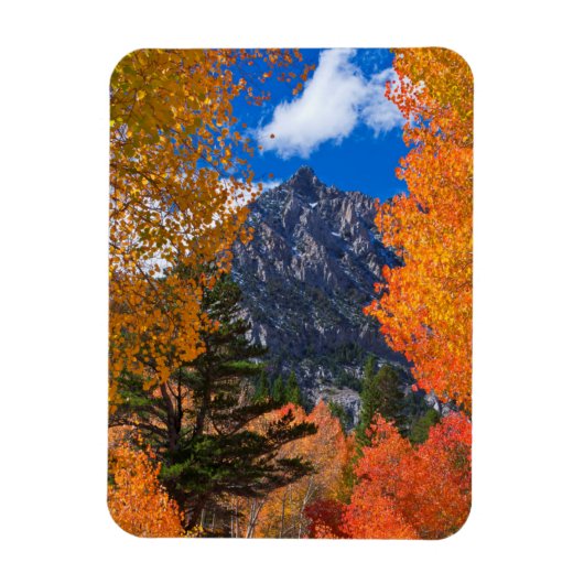 カリフォルニアの紅葉に囲まれた山 マグネット (縦)
