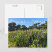 カリフォルニアの花々: 太平洋岸のアイリス ポストカード (正面/裏面)