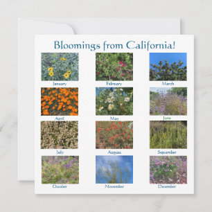 カリフォルニアの花ざかり：サニーベール2022 ノートカード