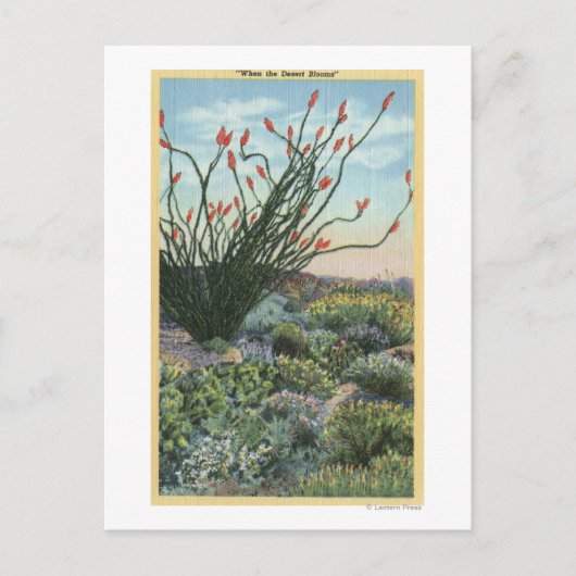 カリフォルニアの花咲くサボテンの景観 ポストカード (正面)