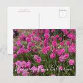 カリフォルニアの花: シーパンク ポストカード (正面/裏面)