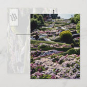 カリフォルニアの赤いサンフランシスコの花 ポストカード (正面/裏面)