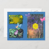 カリフォルニアの野生の花のポストカード ポストカード (正面/裏面)