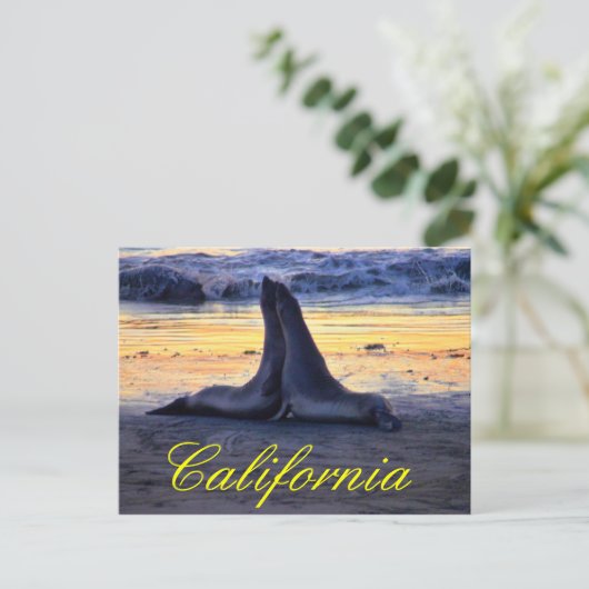 カリフォルニアの野生生物 ポストカード (スタンド正面)