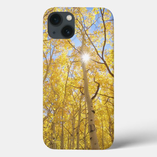 カリフォルニアの野花に囲まれたギリアの抽象画 Case-Mate iPhoneケース (裏面)