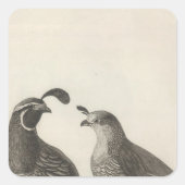 カリフォルニアの雄と雌のパトリッジ スクエアシール (正面)