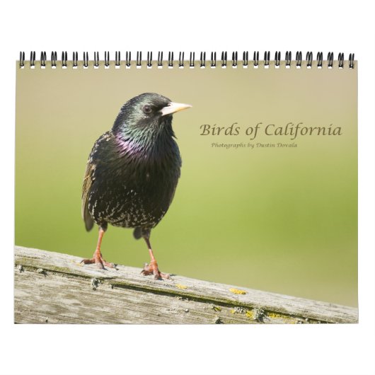 カリフォルニアの鳥 カレンダー (カバー)