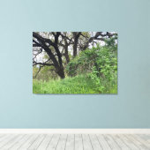 カリフォルニアの3月 キャンバスプリント (インサイチュ (ウッドフロア))