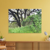 カリフォルニアの3月 キャンバスプリント (インサイチュ (リビング))