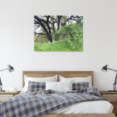 カリフォルニアの3月 キャンバスプリント (インサイチュ (寝室))