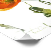 カリフォルニアの/ウェールズのポピーたち。高解像度プリント フォトプリント (角)