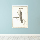 カリフォルニアのPromeropsまたはBee Eater キャンバスプリント (インサイチュ (ウッドフロア))