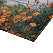 カリフォルニアのSurの大きい海岸、ハナビシソウ カッティングボード (角)