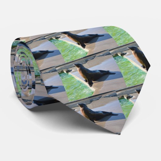 カリフォルニアアシカ ネクタイ (ロール)