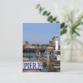 カリフォルニアアシカ ポストカード (スタンド正面)