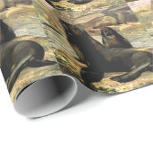 カリフォルニアアシカ by CE Swan, ヴィンテージ動物 ラッピングペーパー (ロールコーナー)