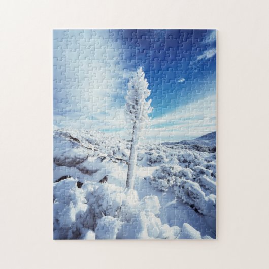 カリフォルニアアンザボレゴ砂漠州パーク2 ジグソーパズル (縦)