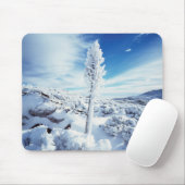 カリフォルニアアンザボレゴ砂漠州パーク2 マウスパッド (マウス)