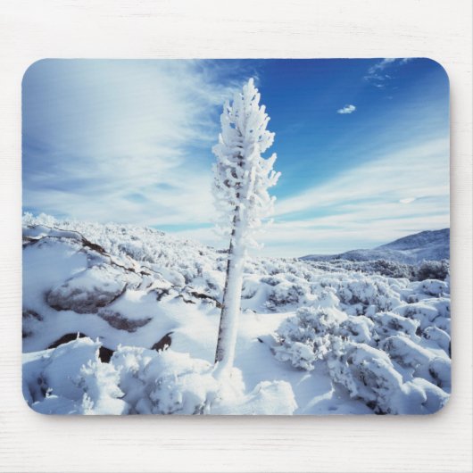 カリフォルニアアンザボレゴ砂漠州パーク2 マウスパッド (正面)