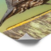 カリフォルニアウイル ポスター (角)