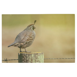 カリフォルニアウイル メタルプリント