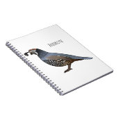 カリフォルニアウズラの鳥の漫画イラストレーション ノートブック (右側)