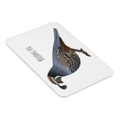 カリフォルニアウズラの鳥の漫画イラストレーション マグネット (右側)