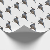 カリフォルニアウズラの鳥の漫画イラストレーション ラッピングペーパー (角)