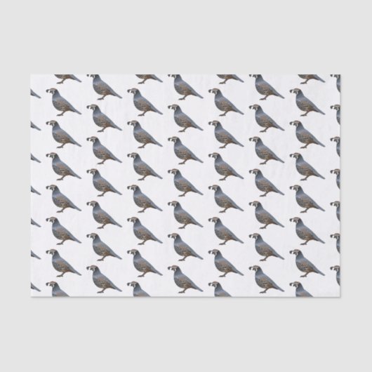 カリフォルニアウズラの鳥の漫画イラストレーション 薄葉紙 (正面)