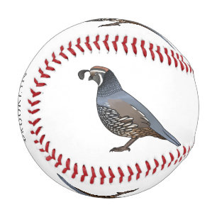 カリフォルニアウズラの鳥の漫画イラストレーション 野球ボール