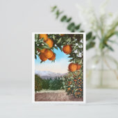 カリフォルニアオレンジグローブヴィンテージ空白のはがき ポストカード (スタンド正面)