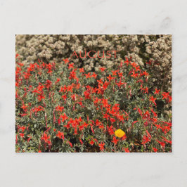 カリフォルニアカラーお祝い威厳がある：はがき ポストカード