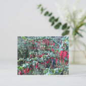 カリフォルニアカラーお祝い:1月はがき ポストカード (スタンド正面)