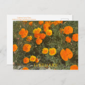 カリフォルニアカラーお祝い: 2月はがき ポストカード (正面/裏面)