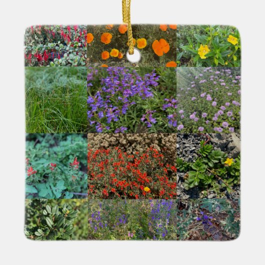 カリフォルニアカラー2020 セラミックオーナメント (正面)