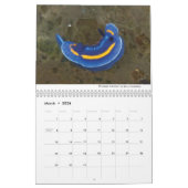 カリフォルニアカレンダーの裸体 カレンダー (3月 2026)