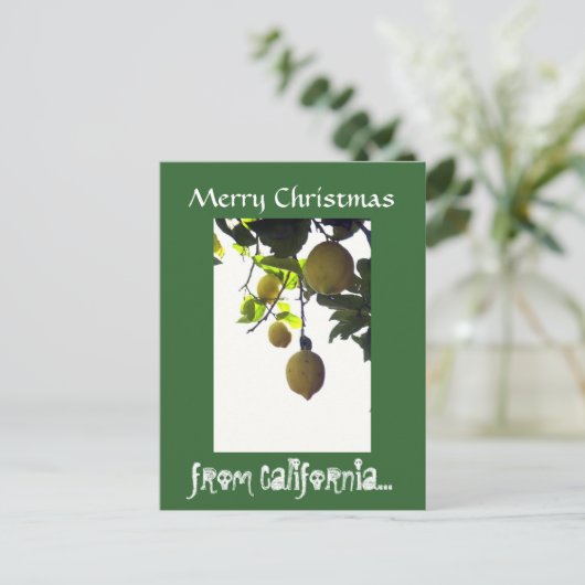 カリフォルニアクリスマスの郵便はがき シーズンポストカード (スタンド正面)