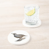 カリフォルニアクワイユ コースター (側面)