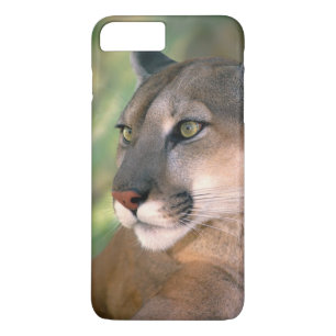 カリフォルニアクーガー iPhone 8 PLUS/7 PLUSケース