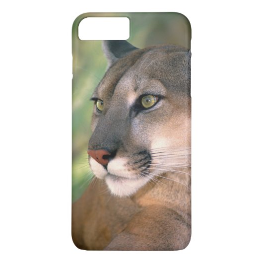 カリフォルニアクーガー Case-Mate iPhoneケース (裏面)
