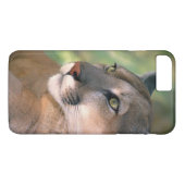 カリフォルニアクーガー Case-Mate iPhoneケース (裏面(横))